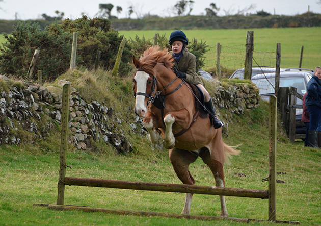 &amp;ldquo;Good afternoon. Please find herewith my images from North Cornwall Hunts Opening Meet at Hamatethy in St Breward last Saturday. It was a fabulous day with over 50 mounted followers aged from 6 years old to 75+! In addition over 100 locals gathered on foot to follow the hunt across the moors. I give you permission to use any of my images Free of Charge on Social Media, in print and on your website. All that I ask is you print my name against any images you choose to use. With kind regards, Claire Collings&amp;rdquo;