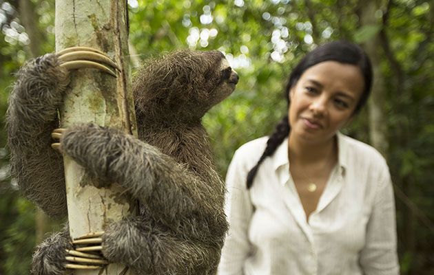 Animals Behaving Badly Liz Bonnin