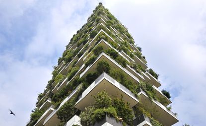 Tall Building Worldwide award is Bosco Verticale (Vertical Forest)