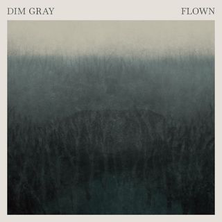 Dim Grey