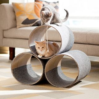 DIY round tube for cats in living room