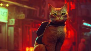 An orange cat sitting in front of a blurry cyberpunk-style city.