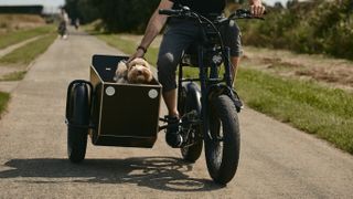Man petting dog in Phatfour e-bike sidecar