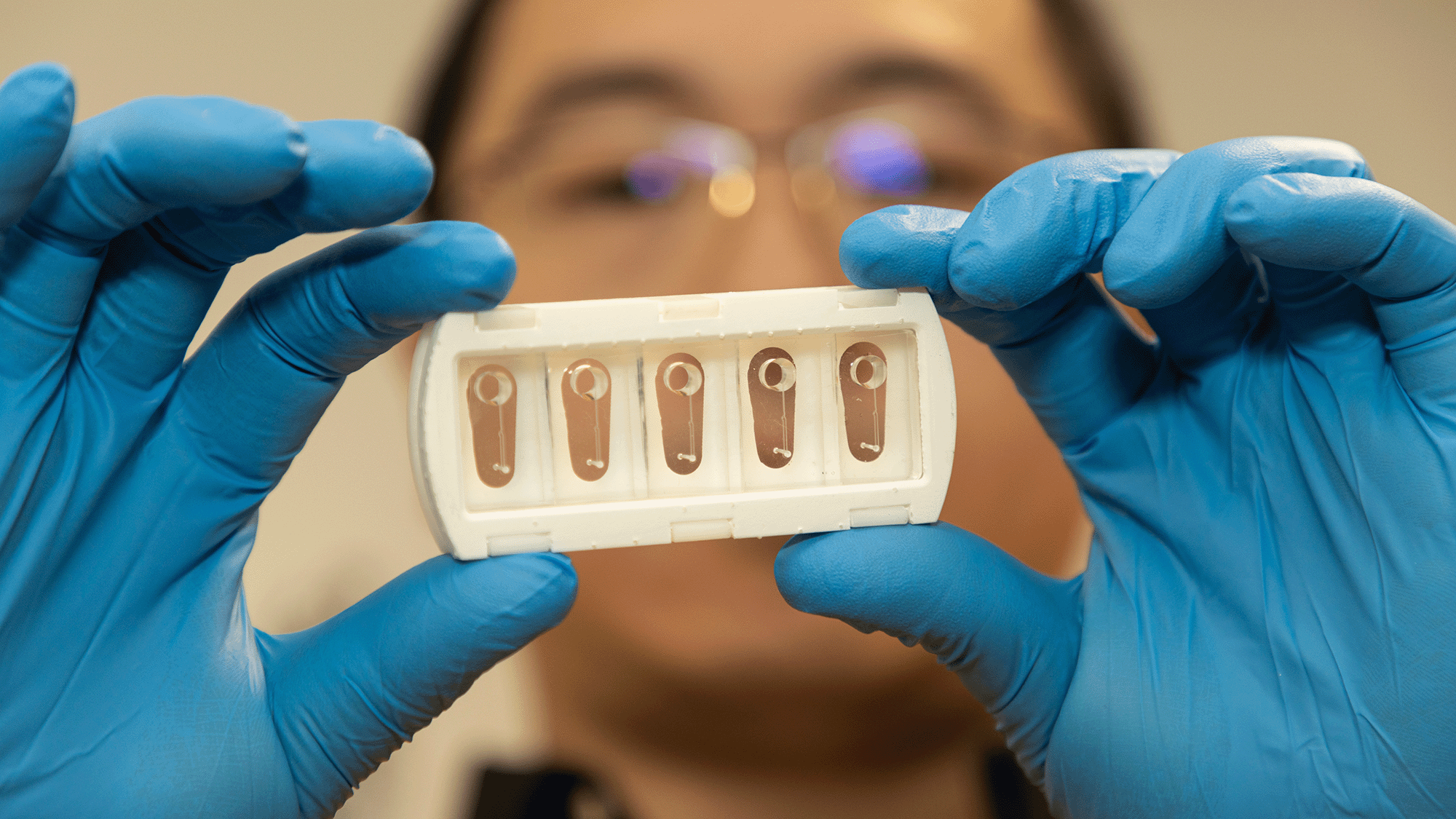 A close up of a white comb-like device held by a man wearing blue latex gloves