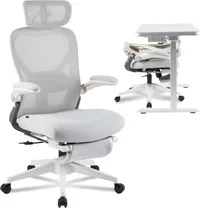 FlexiSpot Foldex Ergonomic Office Chair