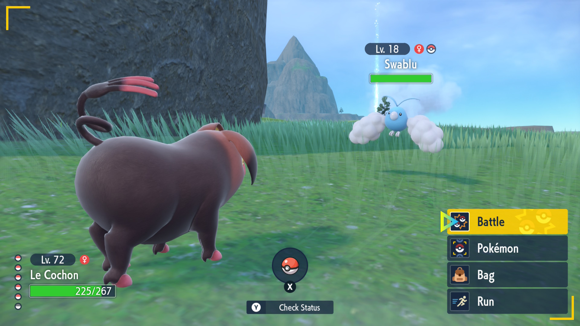 Oinkologne battling a Swablu in Pok&amp;eacute;mon Violet