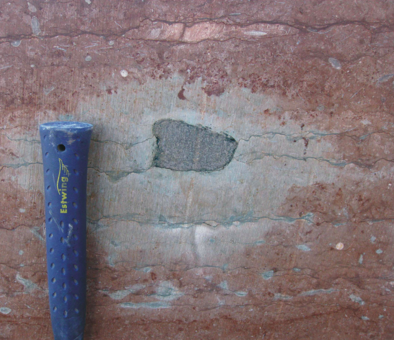 fossil chondrite meteorite