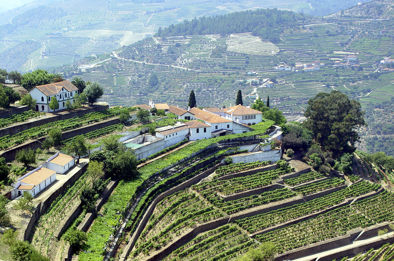 Quinta do Noval wines