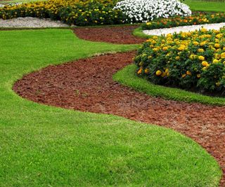 lawn with curved edges