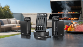 Govee smart meat thermometer