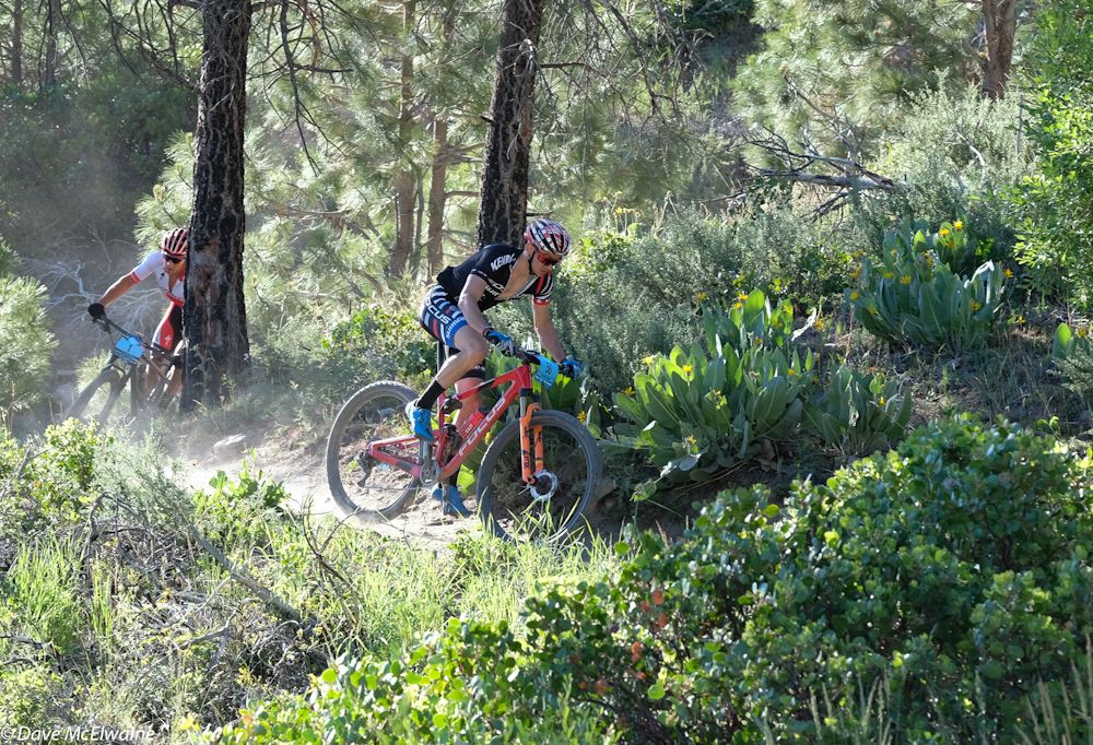Stephen Ettinger (Focus-Shimano) leading Howard Grotts through one of the few shaded portions of the course.