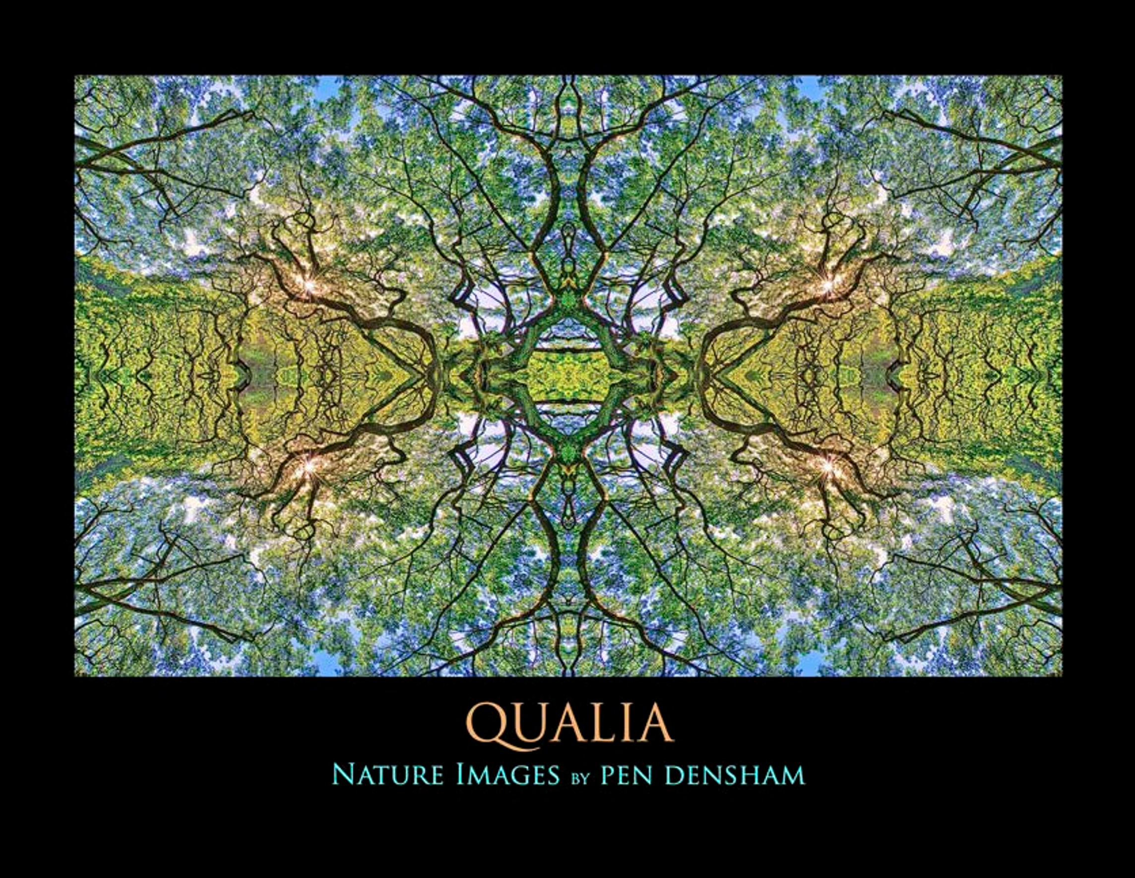 A title card displaying 