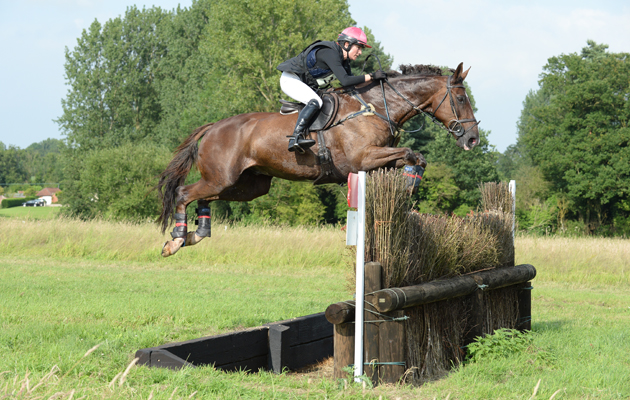 GREAT-WITCHINGHAM-HTGUIDE.jpg