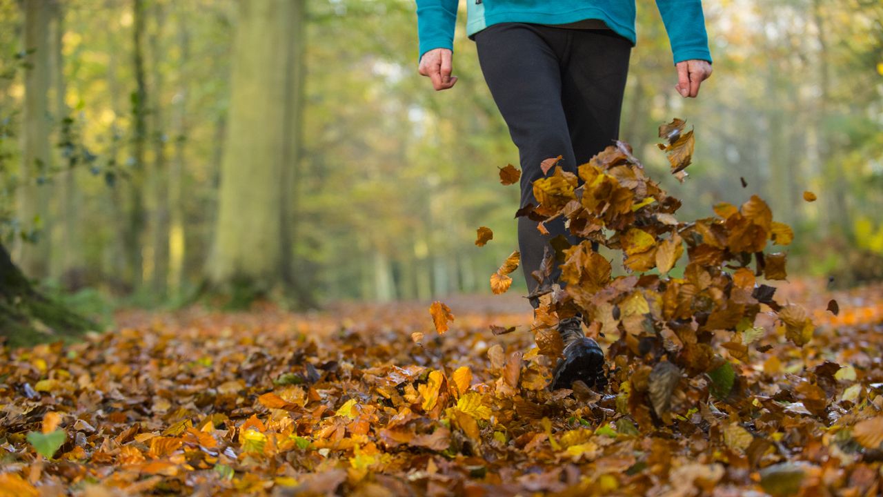 autumn hiking