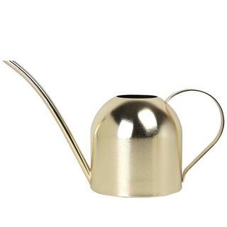 30oz stainless steel indoor watering can in gold on white background