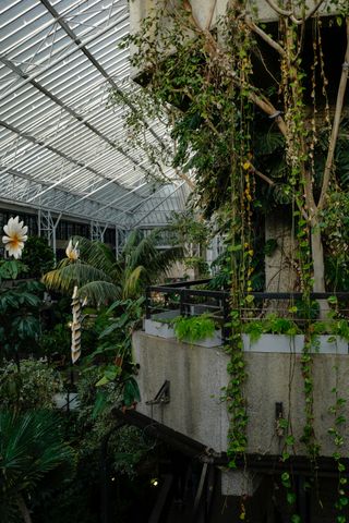 The Barbican Conservatory