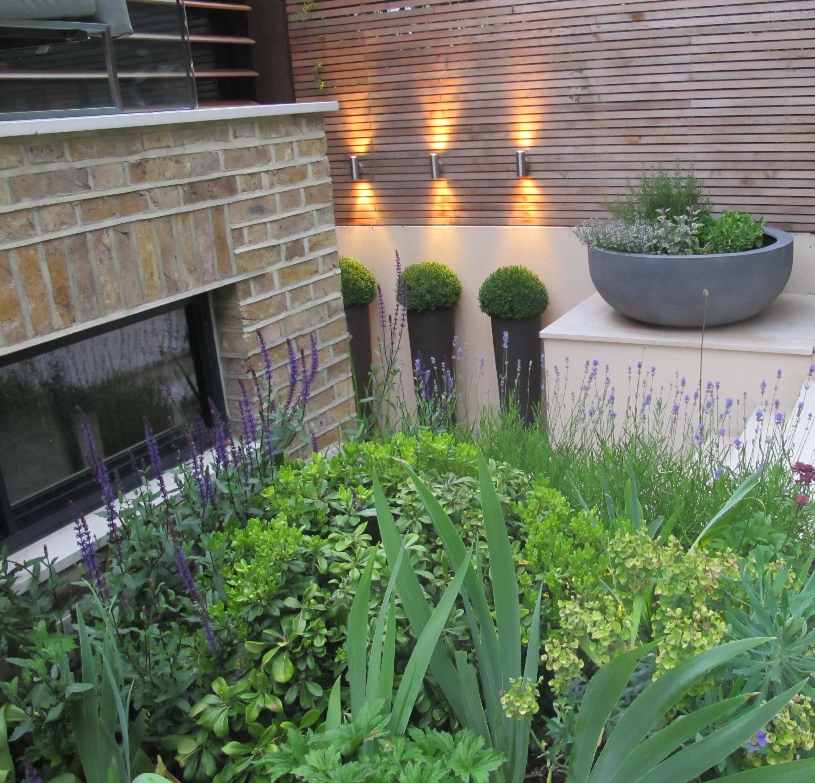 outdoor garden with wall lights