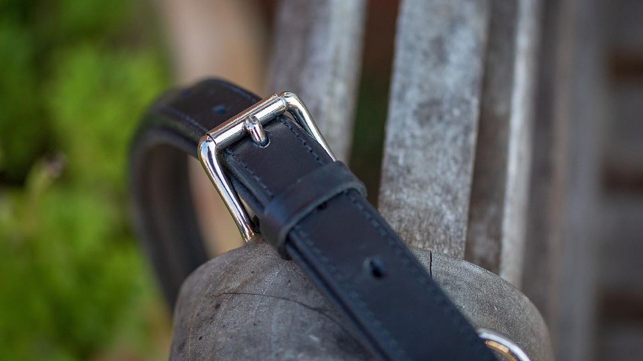 D&ouml;bert classic leather headcollar review