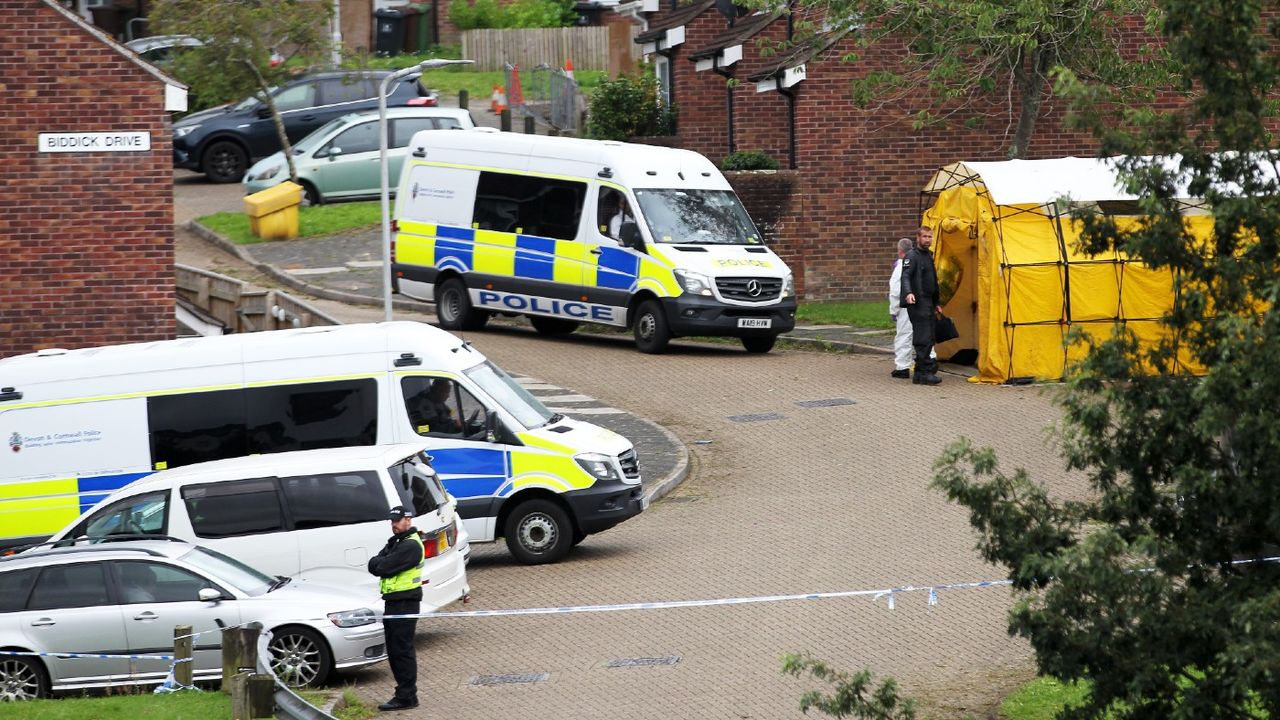 Police at the scene on Biddick Drive in Plymouth 