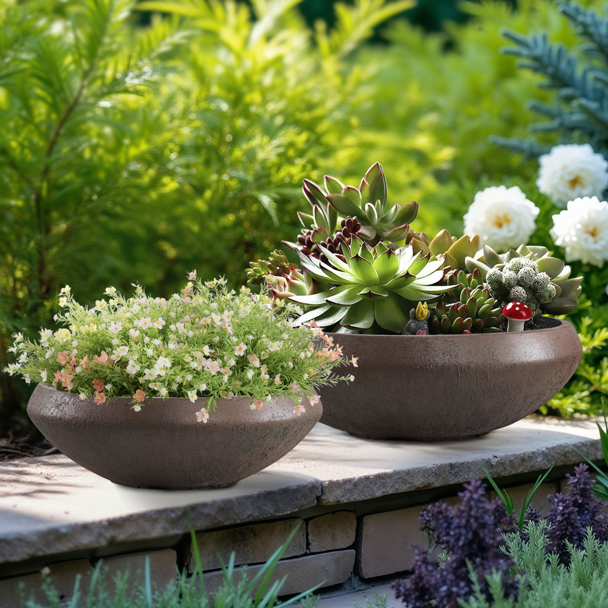 17 Stories Concrete Bowl Planter, Large Succulent Pot With Drain Hole, Lotus Planter Flowerpot for Herbs, Bonsai, and Shallow-Root Plants, Indoor &amp;amp; Outdoor Garden, Patio Decor, Medium-Rust &amp;amp; Reviews | Wayfair
