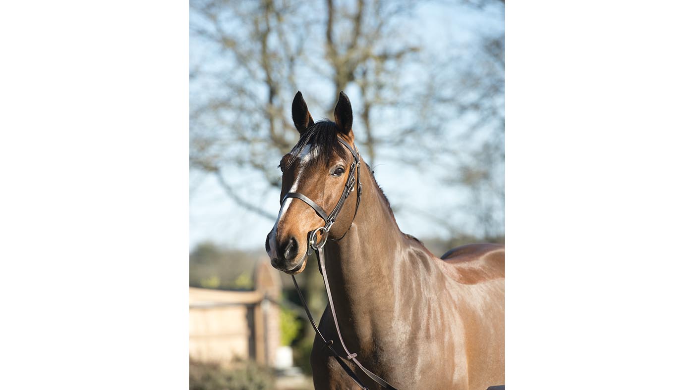 Harry Charles 28 01 2019 Lordanos Junior