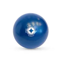 STOTT PILATES Merrithew Mini Stability Ball
