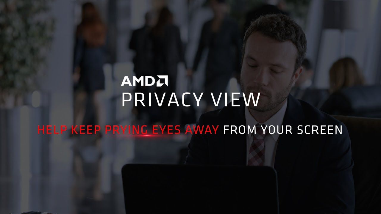 Amd privacy view это