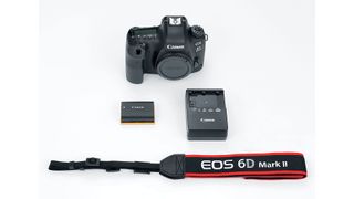 Canon EOS 6D Mk2 review: image shows Canon EOS 6D Mk2 camera kit