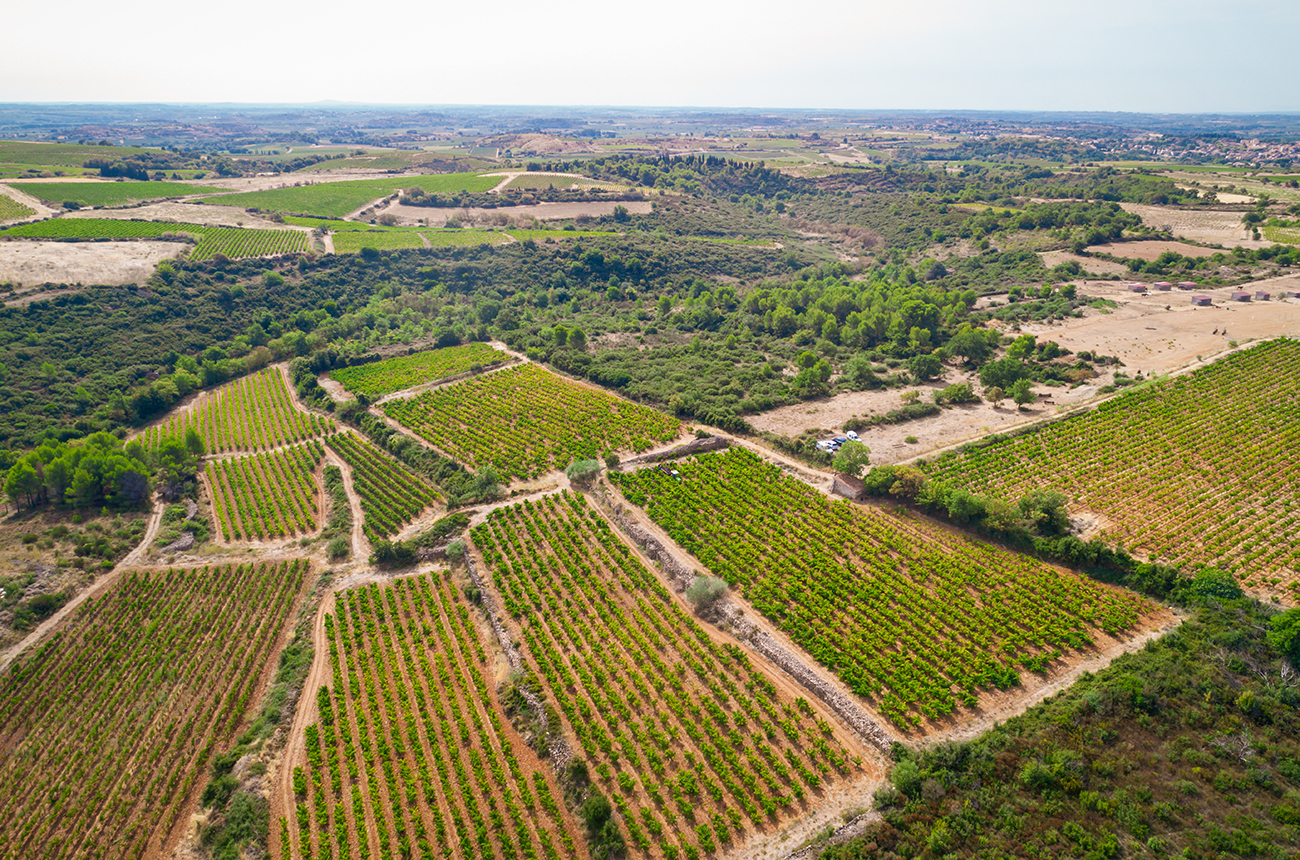 C&amp;ocirc;tes de Thongue