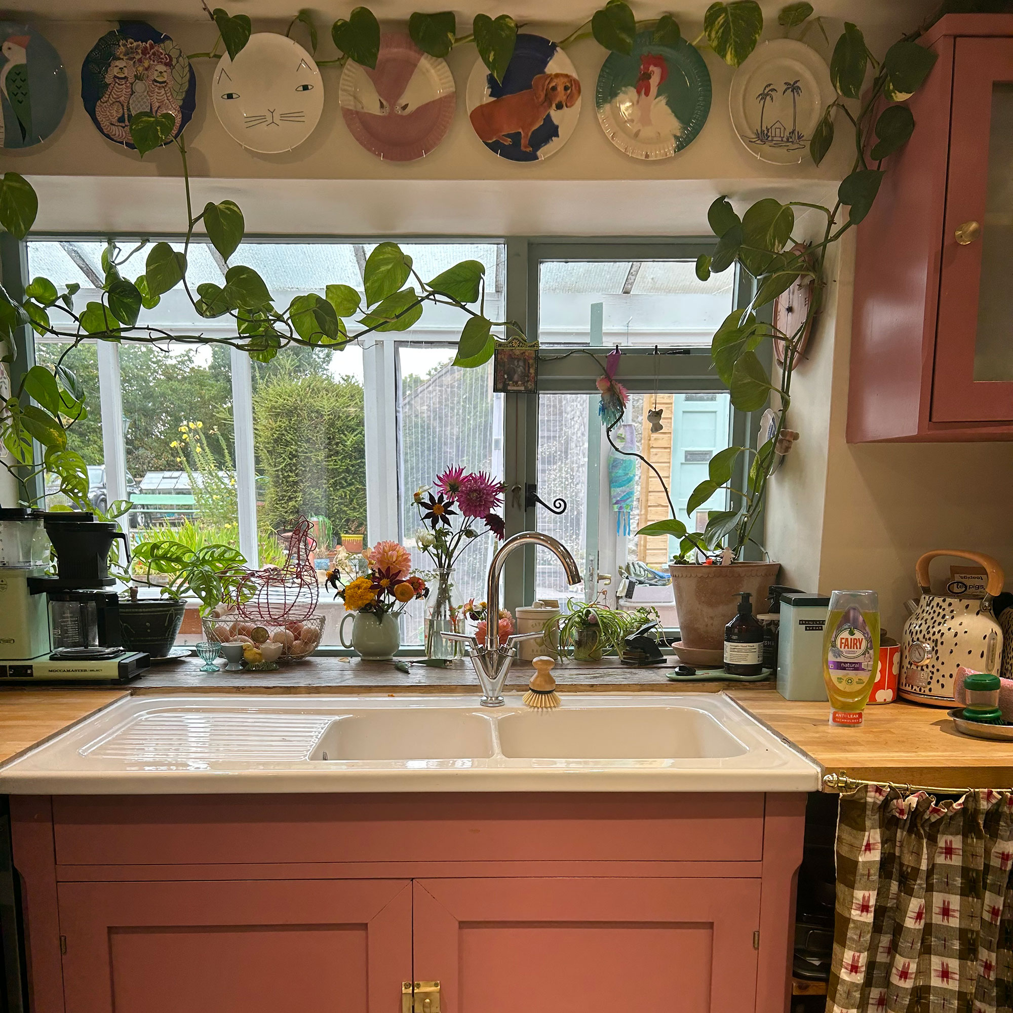 Country kitchen sink framed with bunches of flowers and trailing plants, topped with plate wall, with window looking out into conservatory and garden in distance