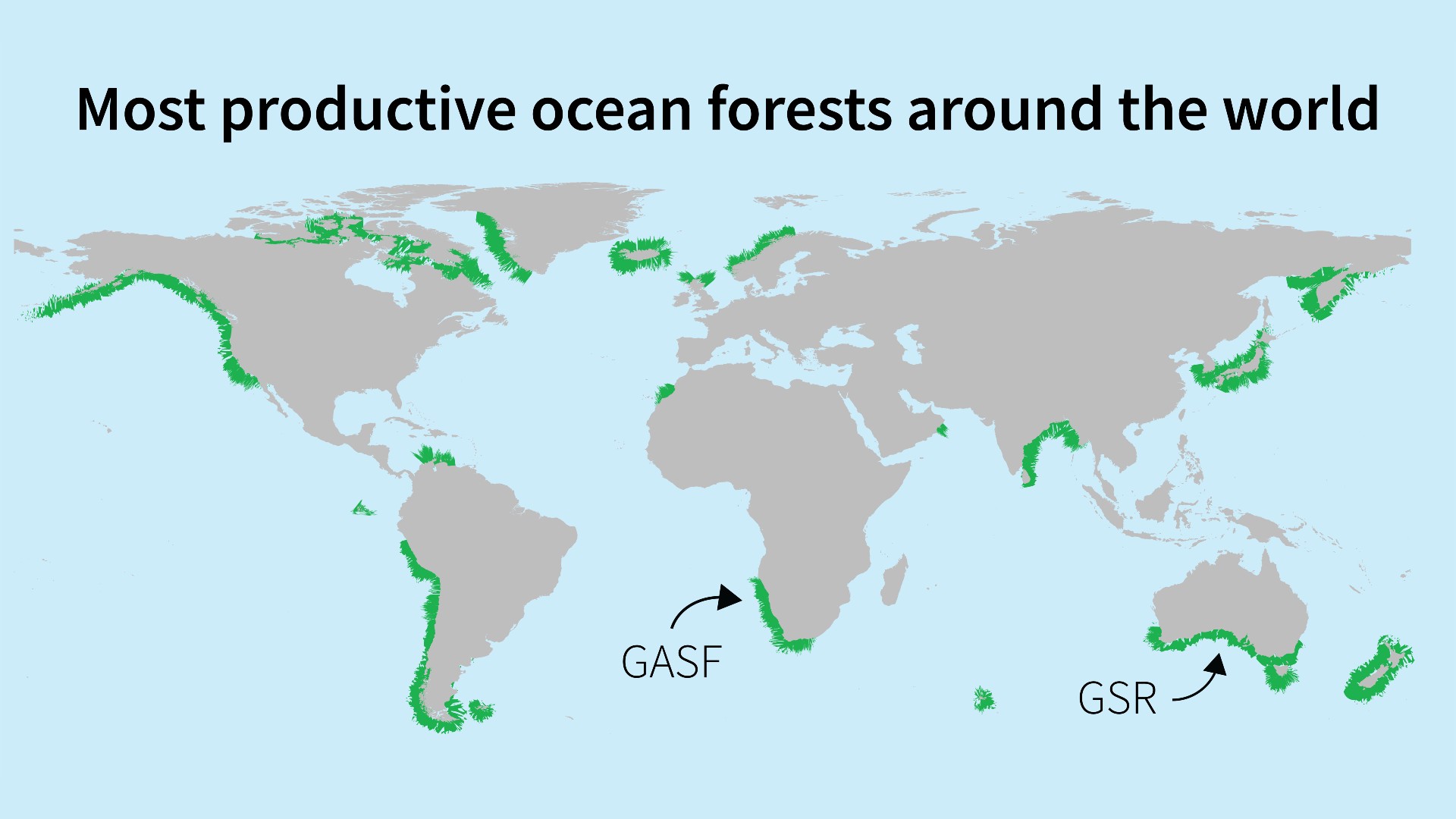 Most productive ocean forests around the world.
