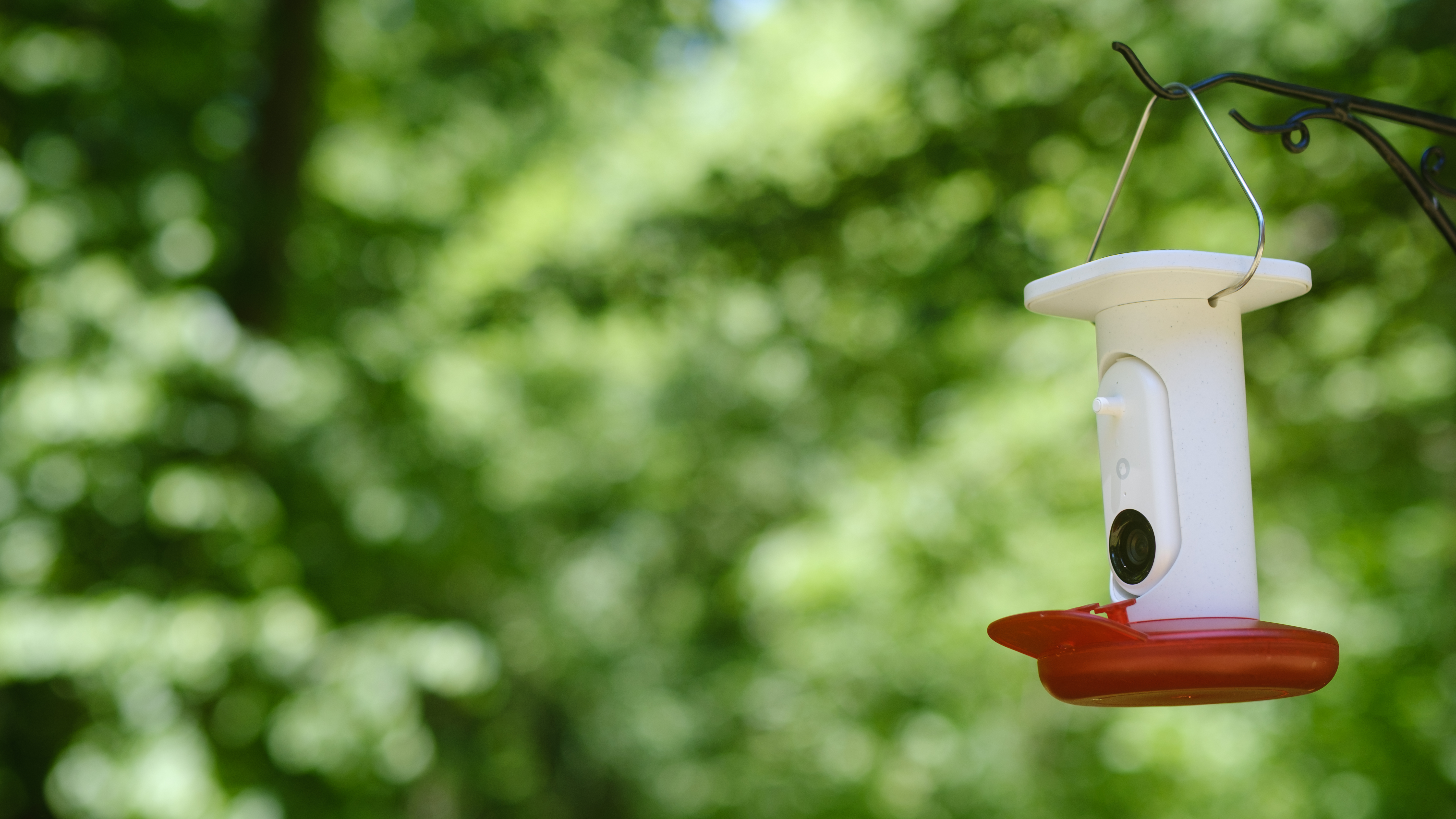 The Bird Buddy Smart Humming Bird Feeder photographed outdoors