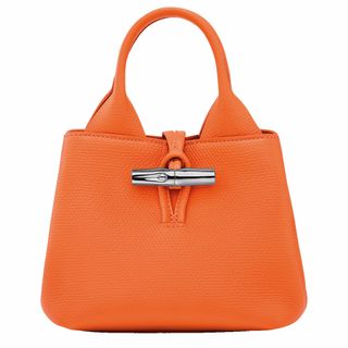 bolso lonchamp le roseau