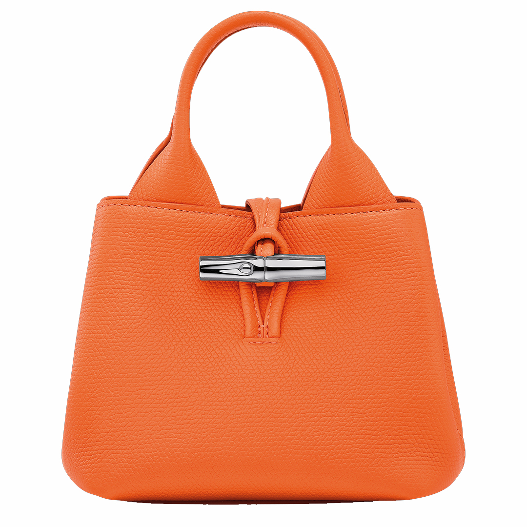 lonchamp le roseau bag