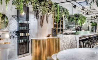 A view through the restaurant featuring trees and hanging foliage and marble counter-tops