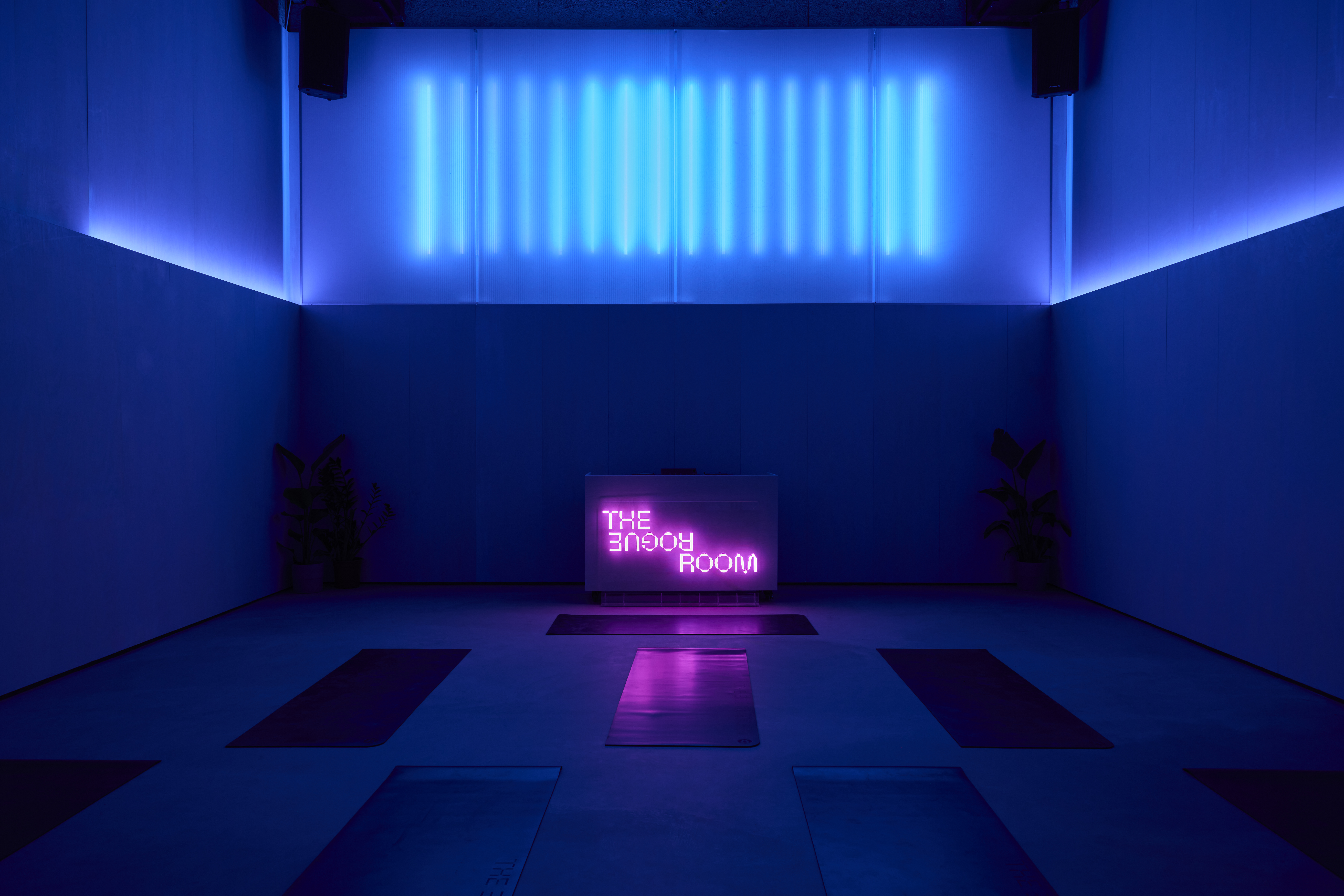 The Rogue Room, and its exterior known as &#039;the dirty house&#039;