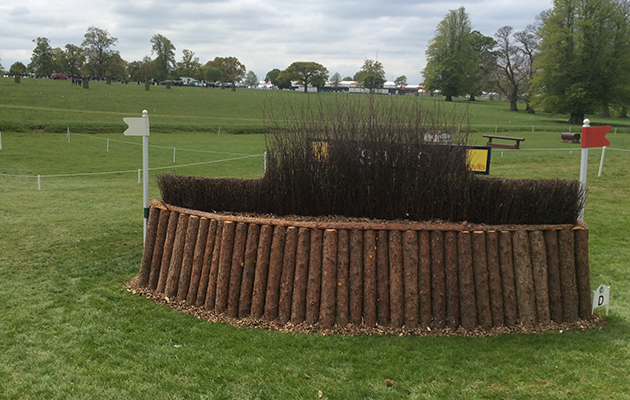 Badminton Fences 2017