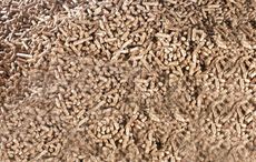 wood-pellets-BSL-approved.jpg