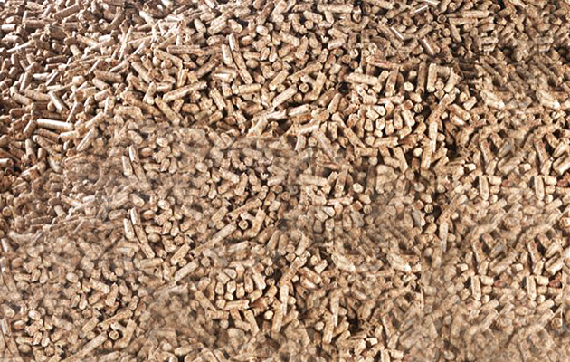 wood-pellets-BSL-approved.jpg