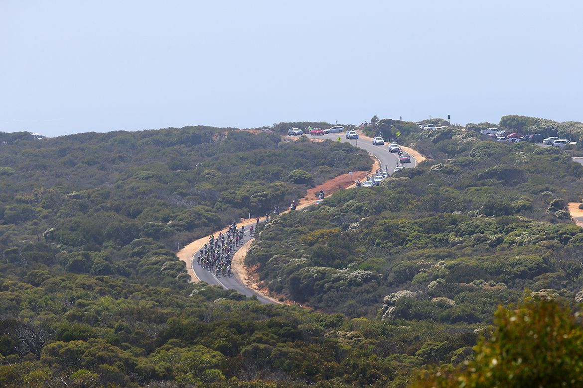 A shot of the scenic coastline and bush