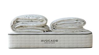 Best comforters: Avocado Alpaca Duvet Insert in white