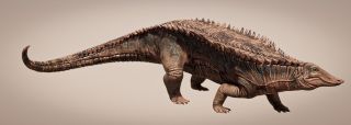 An illustration of the newly discovered aetosaur, Garzapelta muelleri.