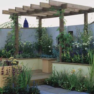 garden area with pergola and flower plants