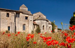 Red Poppies in front of Van Gogh's Asylum