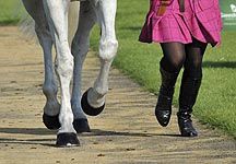Burghley-trotup.jpg