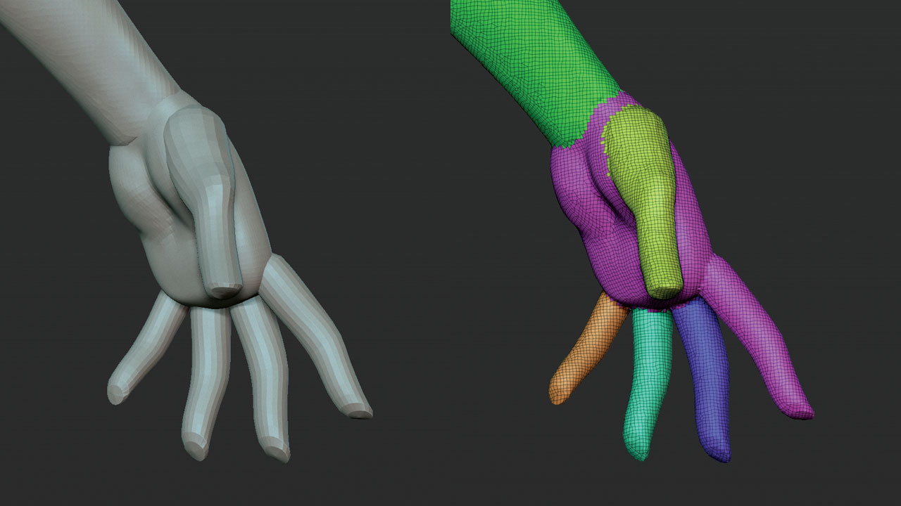 Sculpted hands with fingers shown as different polygroups