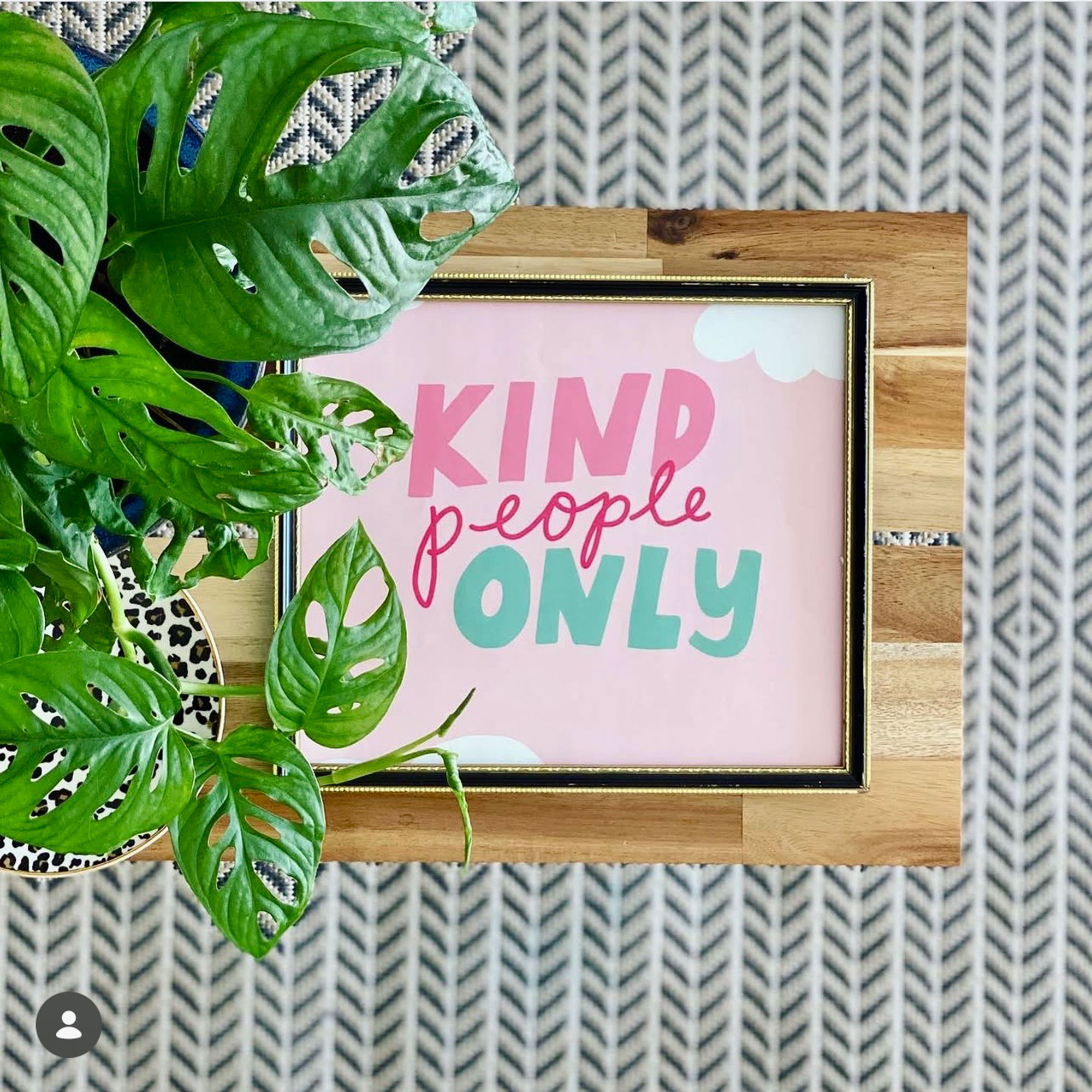 Overhead view of mini swiss cheese plant over tray with 'Kind People Only' written on it
