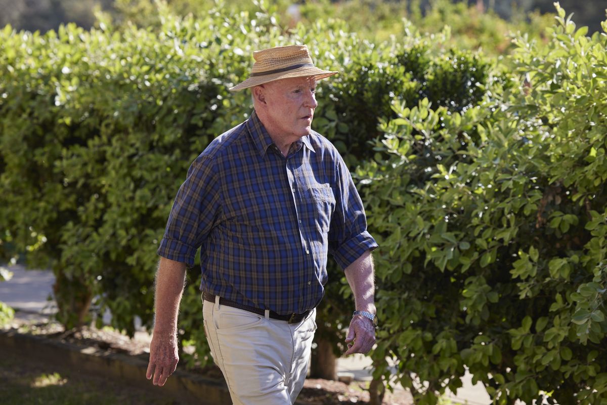 Home and Away spoilers, Alf Stewart