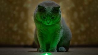 automatic laser cat toys