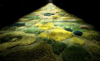 The catwalk for the Dries Van Noten runway made of green moss-hued shag pile rug inside the the Grand Palais